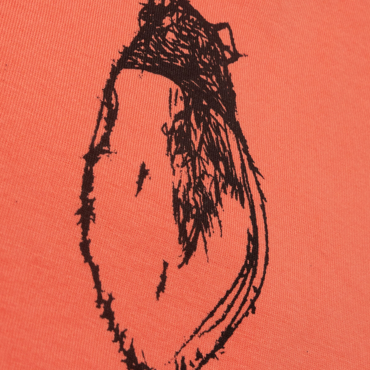 hooded rat - Image 3