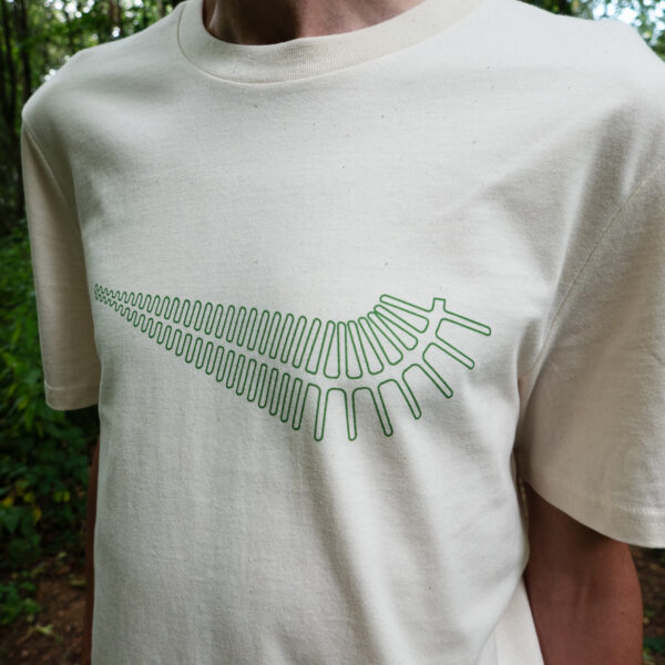 fern design - Image 6