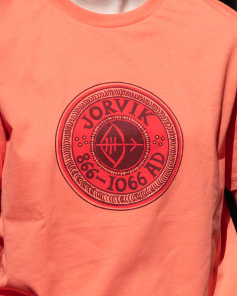 Jorvik coin design - Image 7